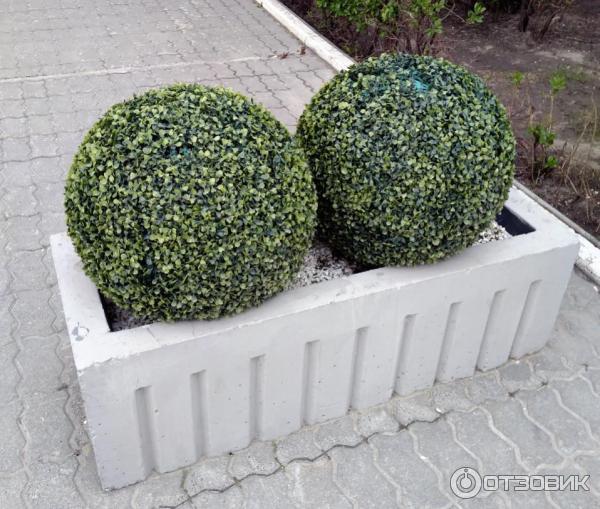 Гостиница Маринс Парк Отель Новосибирск 4 (ex. Конгресс-отель Новосибирск) (Россия, Новосибирск) фото