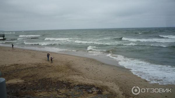 Набережная города Светлогорска фото