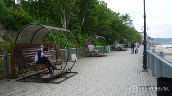 Набережная города Светлогорска фото