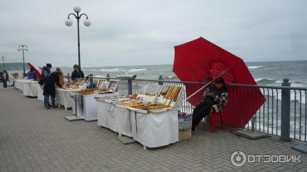 Набережная города Светлогорска фото