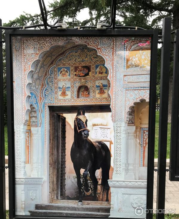 Фотовыставка Лошади мира на Тверском бульваре (Россия, Москва)