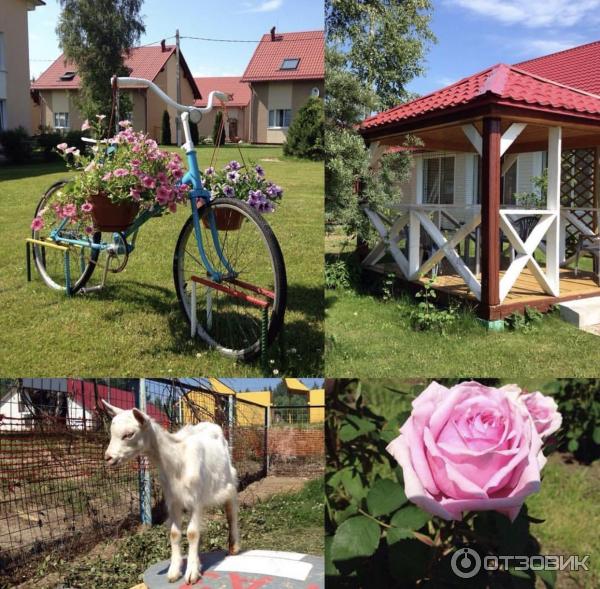 База отдыха Розовая Дача (Приозерский район Ленинградская область) фото