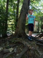 Дольмен в Джубге (Россия, Краснодарский край) фото