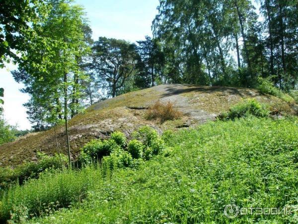 Остров Сеурасаари (Финляндия, Хельсинки) фото