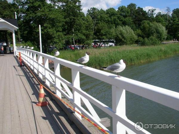 Остров Сеурасаари (Финляндия, Хельсинки) фото