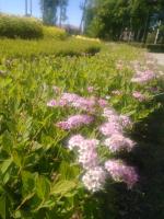 Замок принцессы Ольденбургской (Россия, Рамонь) фото