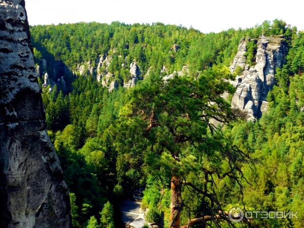 Экскурсия по Саксонской Швейцарии (Германия) фото