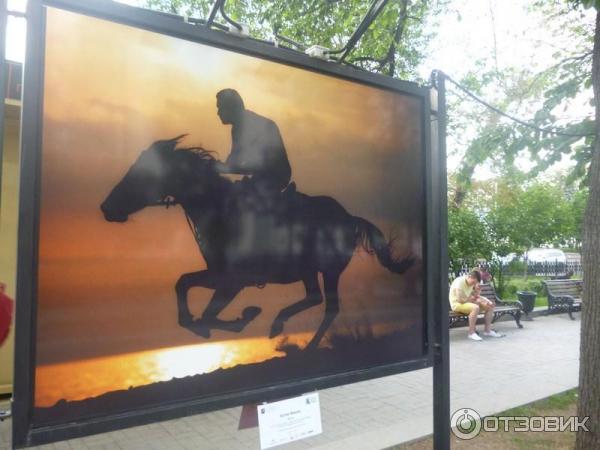 Фотовыставка Лошади мира на Тверском бульваре (Россия, Москва)