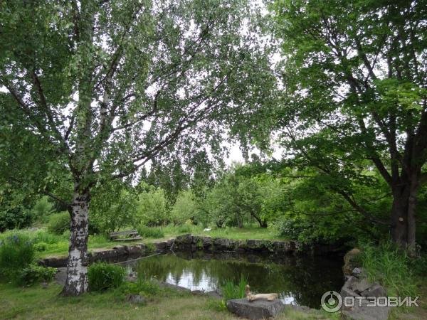 Пруд рядом с Воскресенским скитом