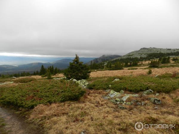 Гора Иремель (Башкирия, Белорецкий район) фото