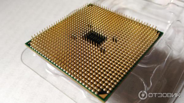 Процессор AMD A4 X2 3300 Box фото