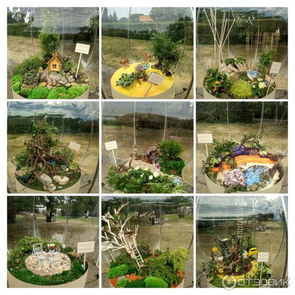 Московский международный фестиваль садов и цветов Moscow Flower Show (Россия, Москва) фото