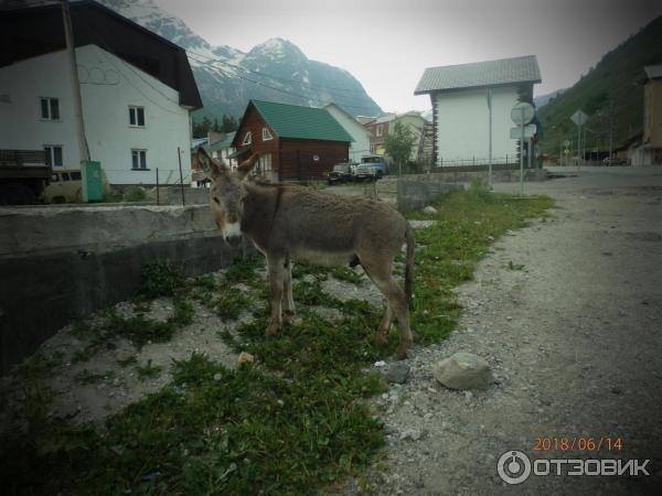 Приэльбрусье (Россия, Кабардино-Балкария) фото