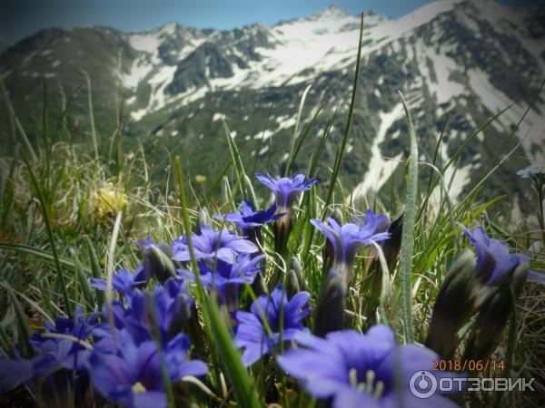 Приэльбрусье (Россия, Кабардино-Балкария) фото