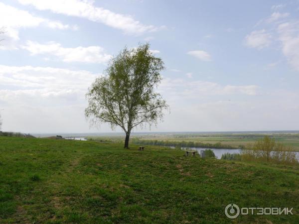 Музей Усадьба Есениных (Россия, Рязанская область, село Константиново) фото