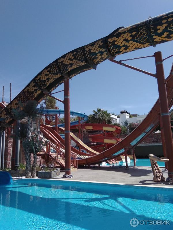 Отель Cactus fleur beach club & aquapark 4* (Турция, Бодрум) фото
