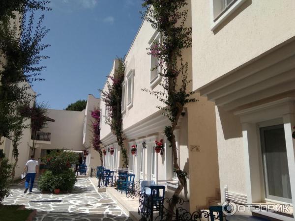 Отель Cactus fleur beach club & aquapark 4* (Турция, Бодрум) фото