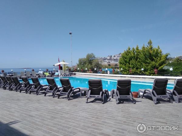 Отель Cactus fleur beach club & aquapark 4* (Турция, Бодрум) фото