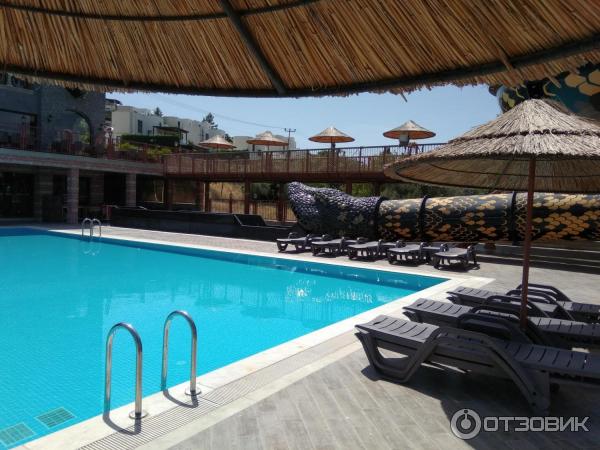 Отель Cactus fleur beach club & aquapark 4* (Турция, Бодрум) фото