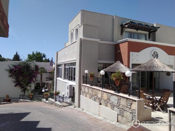 Отель Cactus fleur beach club & aquapark 4* (Турция, Бодрум) фото