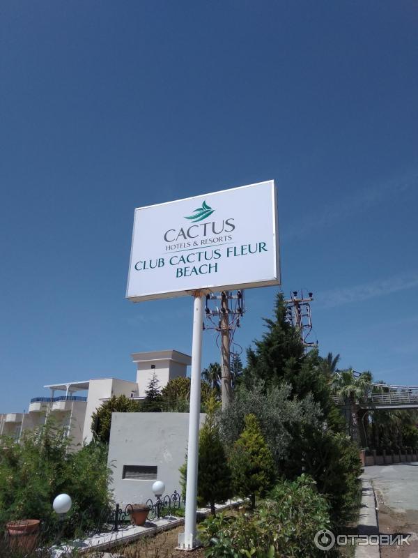 Отель Cactus fleur beach club & aquapark 4* (Турция, Бодрум) фото