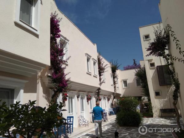 Отель Cactus fleur beach club & aquapark 4* (Турция, Бодрум) фото