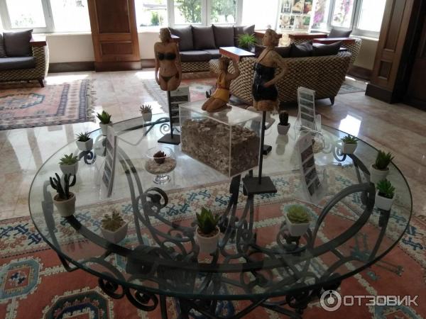 Отель Cactus fleur beach club & aquapark 4* (Турция, Бодрум) фото