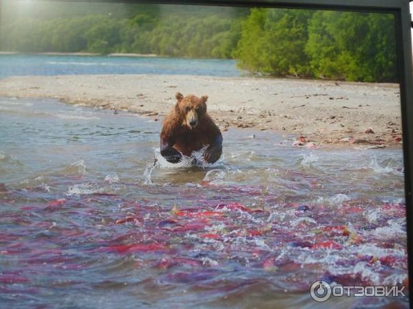 Фотовыставка Геннадия Юсина Мир цвета на Тверском бульваре (Россия, Москва)