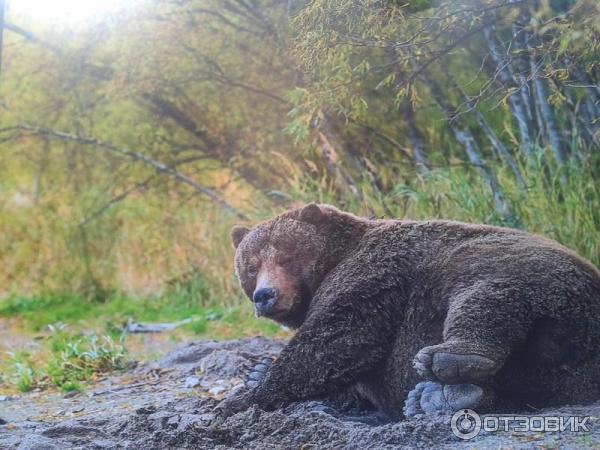 Фотовыставка Геннадия Юсина Мир цвета на Тверском бульваре (Россия, Москва)