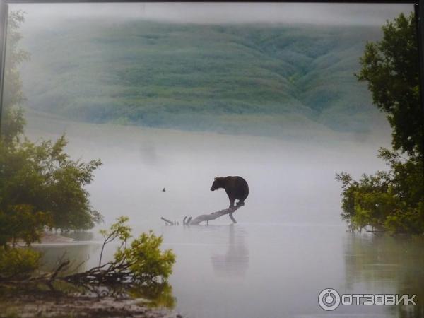 Фотовыставка Геннадия Юсина Мир цвета на Тверском бульваре (Россия, Москва)