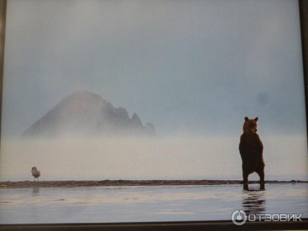 Фотовыставка Геннадия Юсина Мир цвета на Тверском бульваре (Россия, Москва)