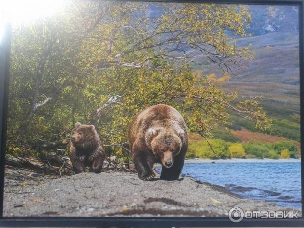 Фотовыставка Геннадия Юсина Мир цвета на Тверском бульваре (Россия, Москва)