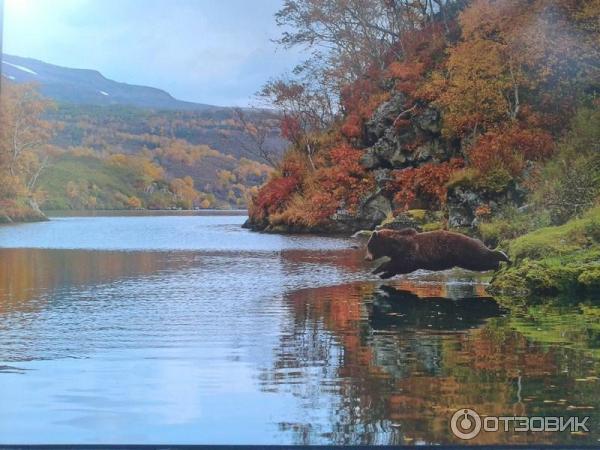 Фотовыставка Геннадия Юсина Мир цвета на Тверском бульваре (Россия, Москва)