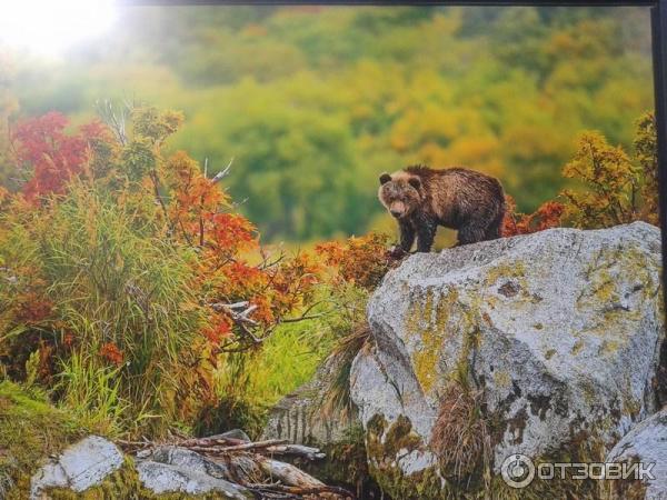 Фотовыставка Геннадия Юсина Мир цвета на Тверском бульваре (Россия, Москва)