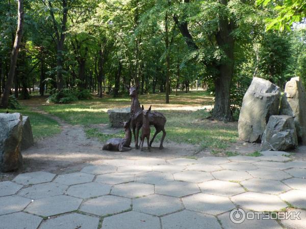 Парк культуры и отдыха им. Т. Г. Шевченко (Украина, Днепропетровск) фото