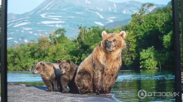 Фотовыставка Геннадия Юсина Мир цвета на Тверском бульваре (Россия, Москва)