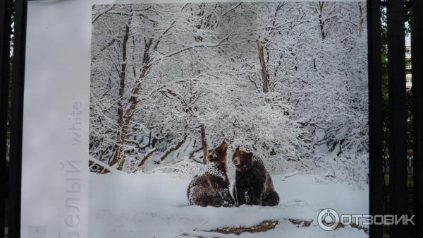 Фотовыставка Геннадия Юсина Мир цвета на Тверском бульваре (Россия, Москва)