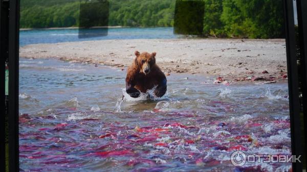 Фотовыставка Геннадия Юсина Мир цвета на Тверском бульваре (Россия, Москва)