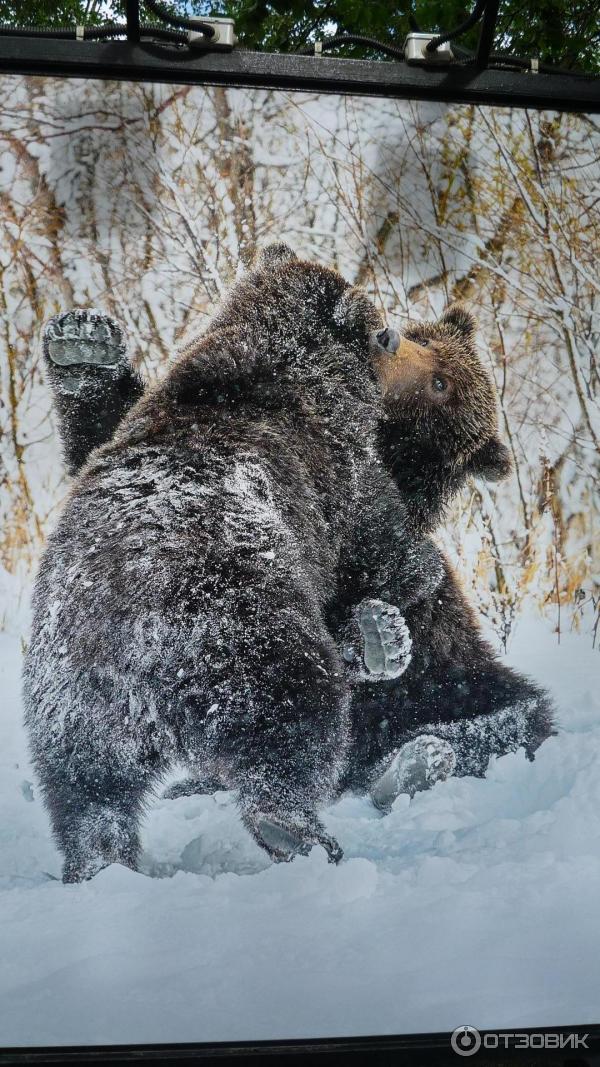 Фотовыставка Геннадия Юсина Мир цвета на Тверском бульваре (Россия, Москва)