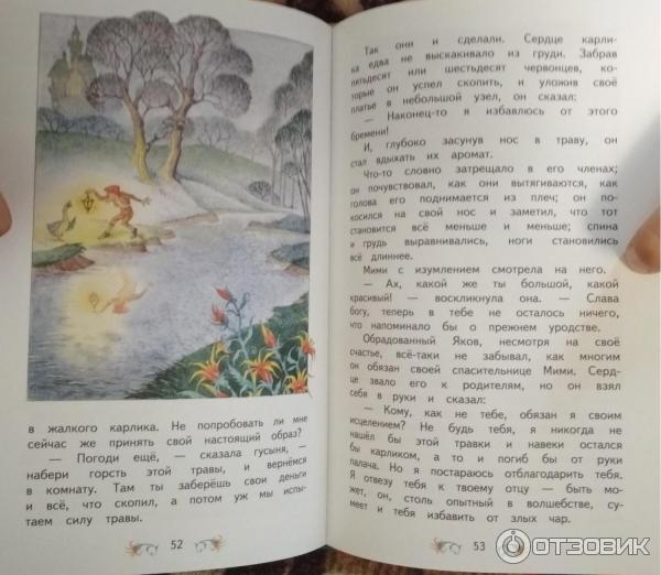 Книга Карлик Нос