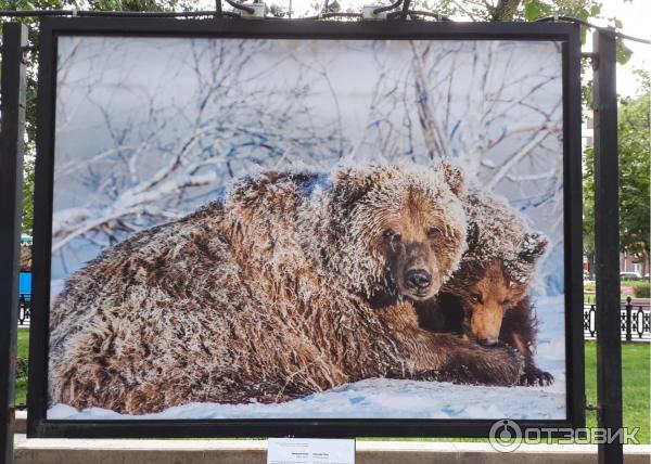 Фотовыставка Геннадия Юсина Мир цвета на Тверском бульваре (Россия, Москва)