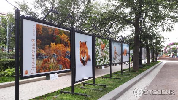 Фотовыставка Геннадия Юсина Мир цвета на Тверском бульваре (Россия, Москва)