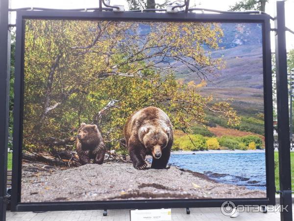 Фотовыставка Геннадия Юсина Мир цвета на Тверском бульваре (Россия, Москва)