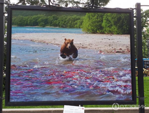 Фотовыставка Геннадия Юсина Мир цвета на Тверском бульваре (Россия, Москва)