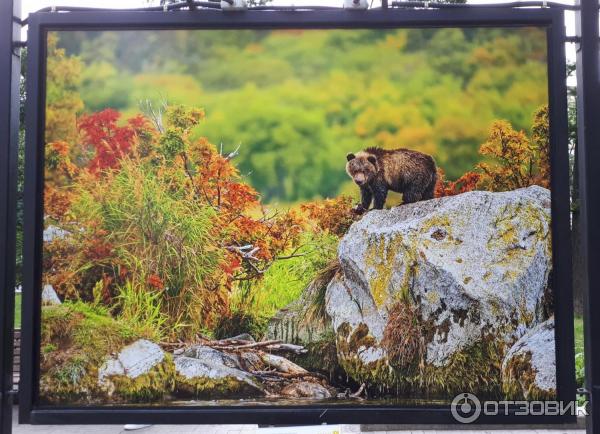 Фотовыставка Геннадия Юсина Мир цвета на Тверском бульваре (Россия, Москва)