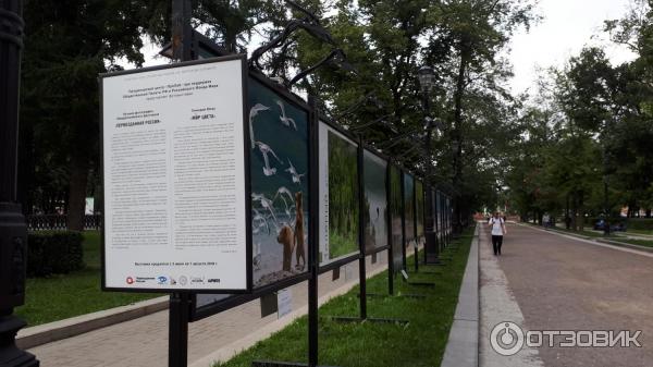 Фотовыставка Геннадия Юсина Мир цвета на Тверском бульваре (Россия, Москва)