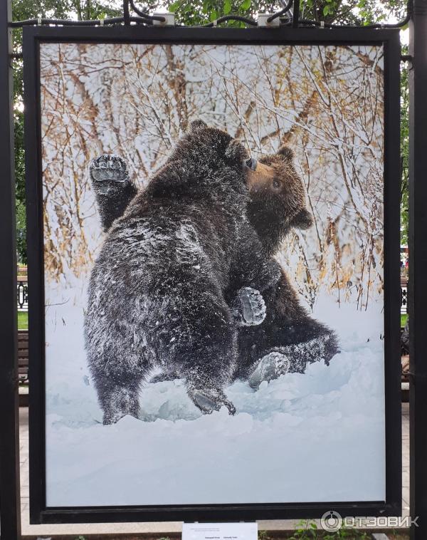 Фотовыставка Геннадия Юсина Мир цвета на Тверском бульваре (Россия, Москва)