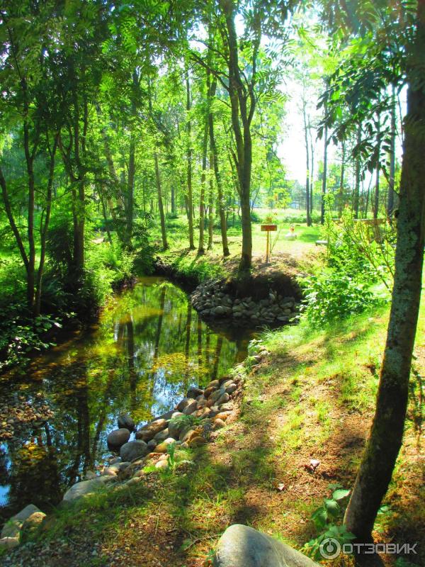 Гостиница Валдай Эко Клуб (Россия, Новгородская область) фото