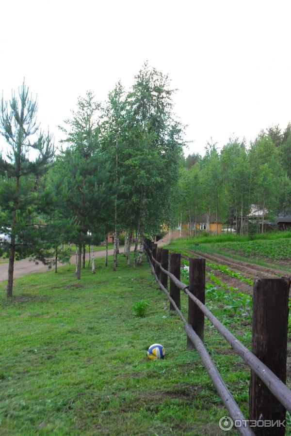 Гостиница Валдай Эко Клуб (Россия, Новгородская область) фото