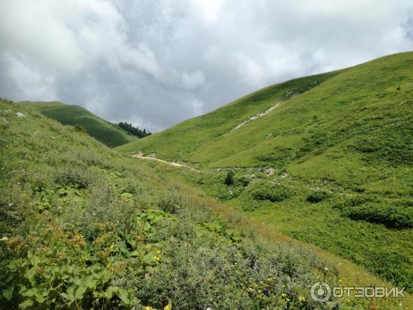 Экскурсия на гору Мамзышха (Абхазия, Гагры) фото